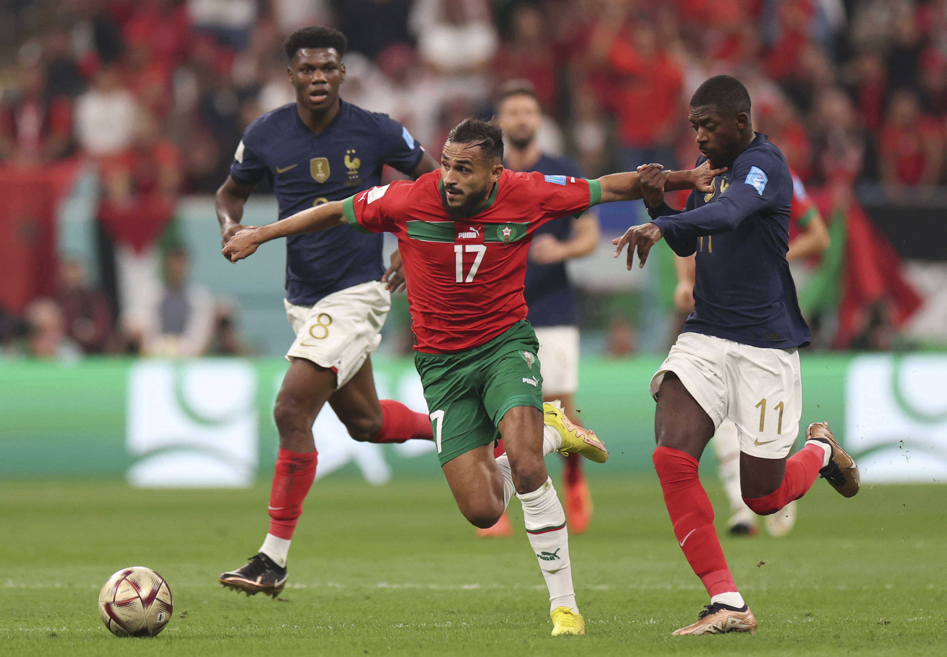 紧张赛场的 紧张赛场的