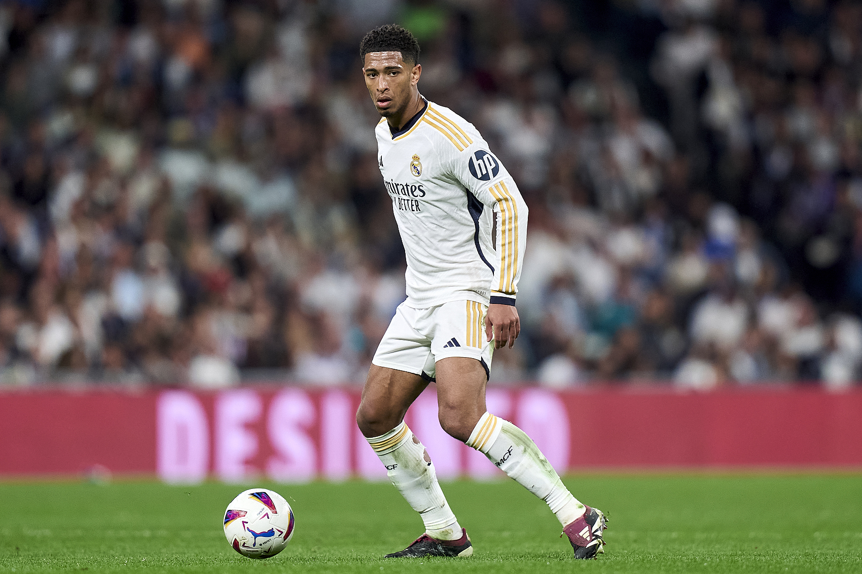 例子便是尼 例子便是尼